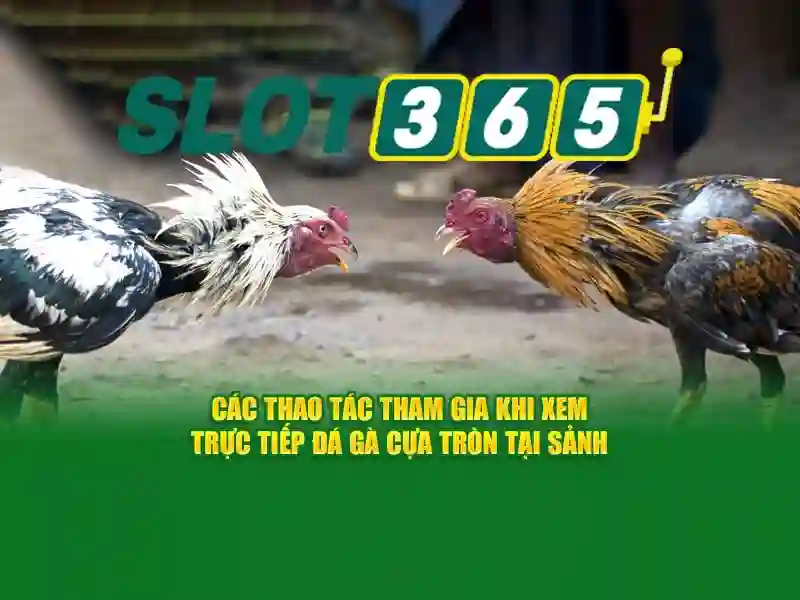 Phản hồi của cộng đồng về slot365 alternatif