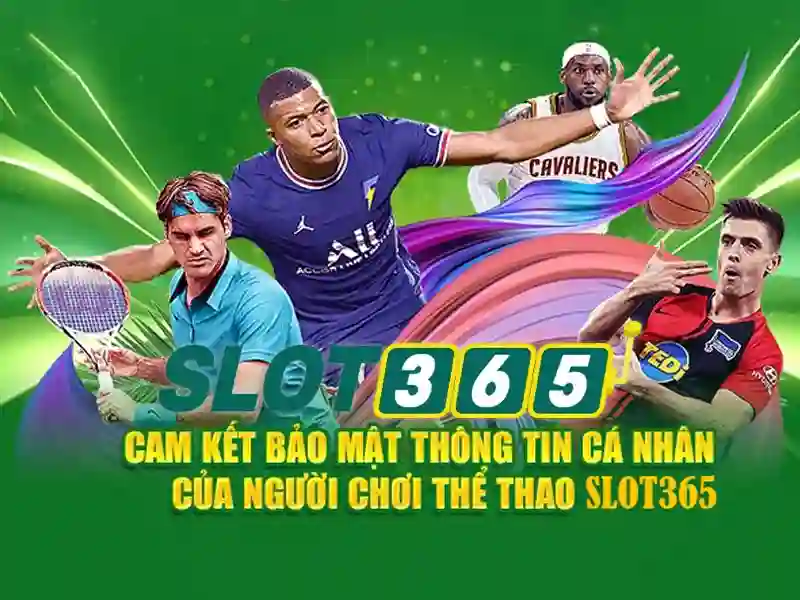 Giao diện người dùng và trải nghiệm