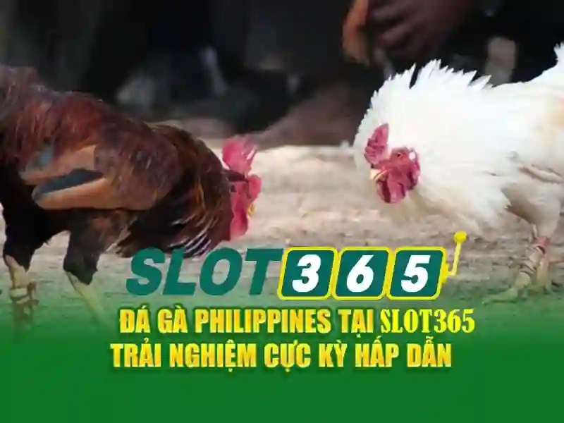 Slot365: Trải nghiệm và Đánh giá Slot365