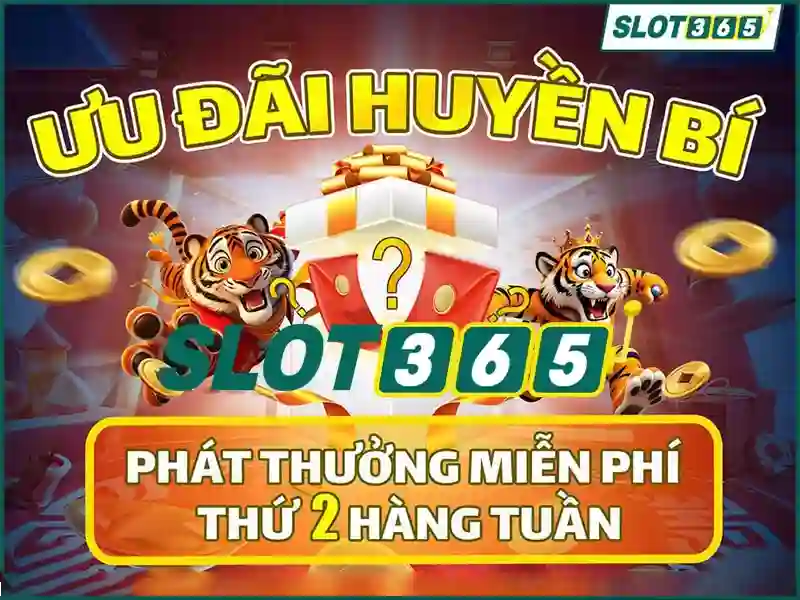 Trải nghiệm người dùng và phản hồi cộng đồng