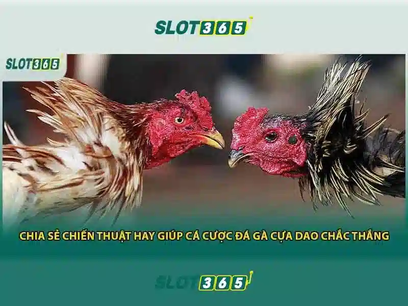 Làm sao để bắt đầu?
