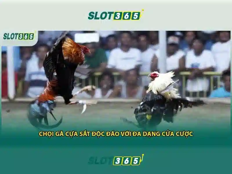 An toàn và hợp pháp\n