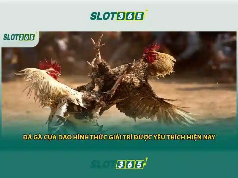 Giao diện người dùng và trải nghiệm trên di động\n