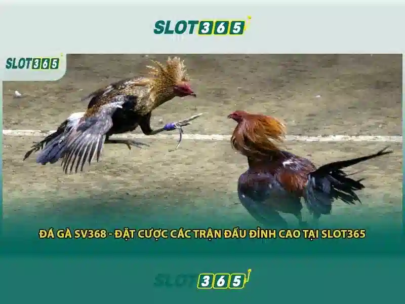 An toàn và thanh toán tại Slot365\n