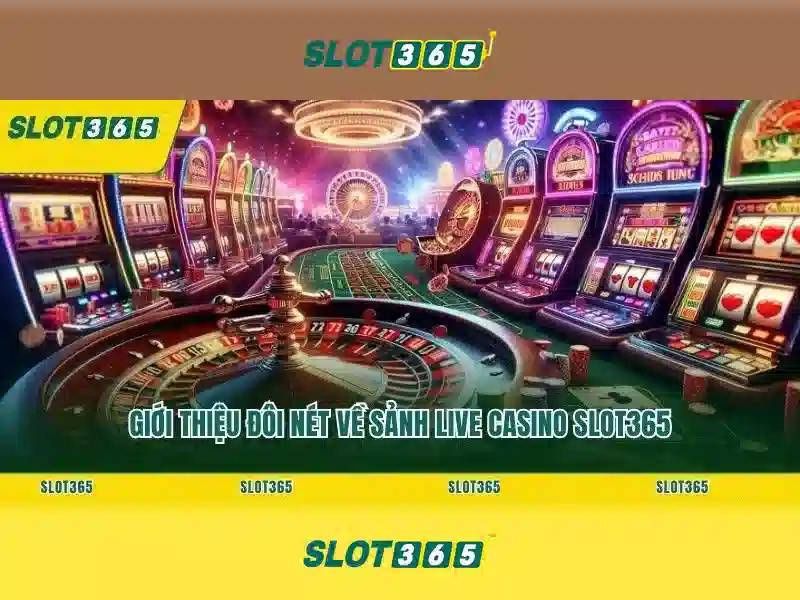 Slot365 là gì?