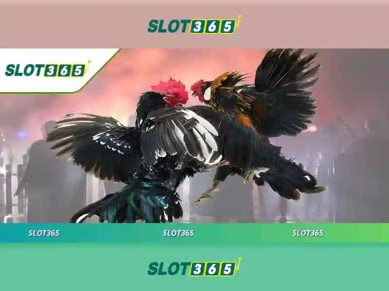 Sản phẩm và dịch vụ chính: ứng dụng slot365 app