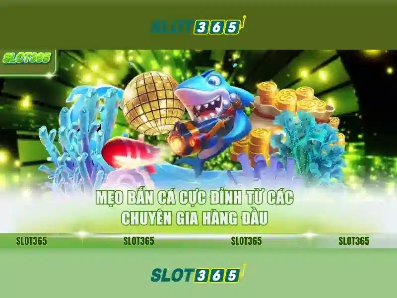 Slot365: Đánh giá và trải nghiệm người dùng