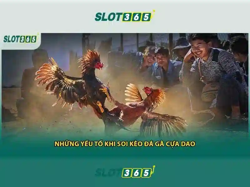 review Slot365: Đánh giá tổng quan và trải nghiệm Slot365