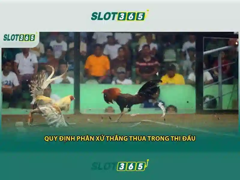 Các trò chơi và tính năng nổi bật của Slot365