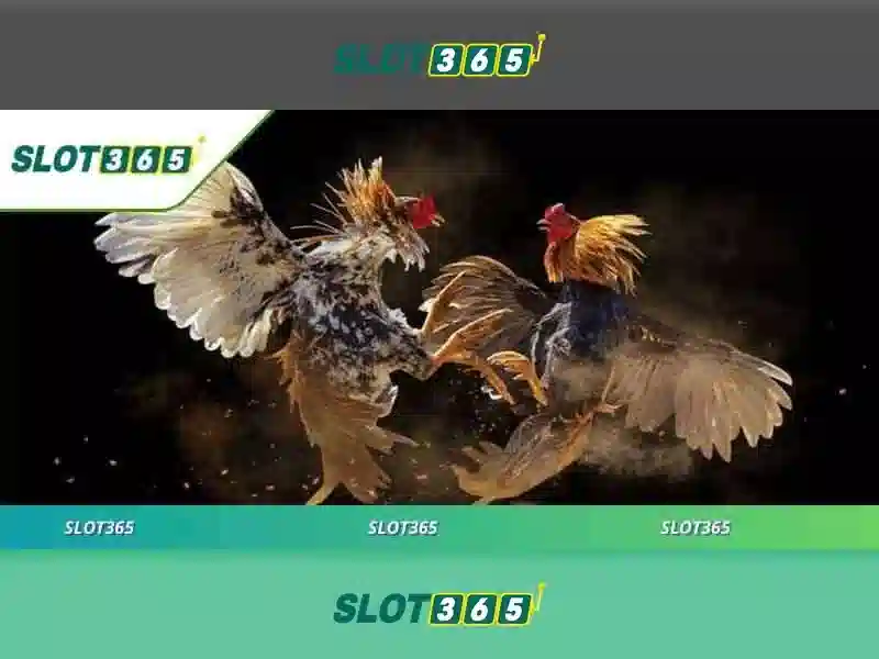 Danh mục trò chơi phong phú tại Slot365