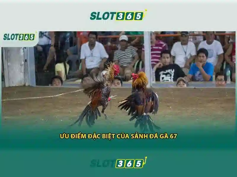 slot365 tải app ios – Ứng dụng iOS với trải nghiệm tốt