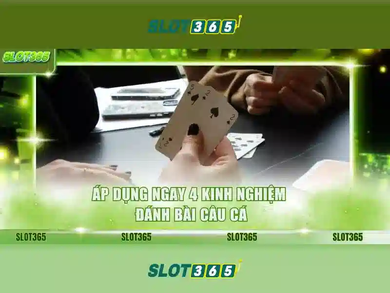 Slot365 là gì?