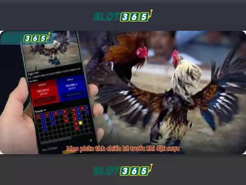 Slot365: Đánh giá tổng quan và trải nghiệm người chơi