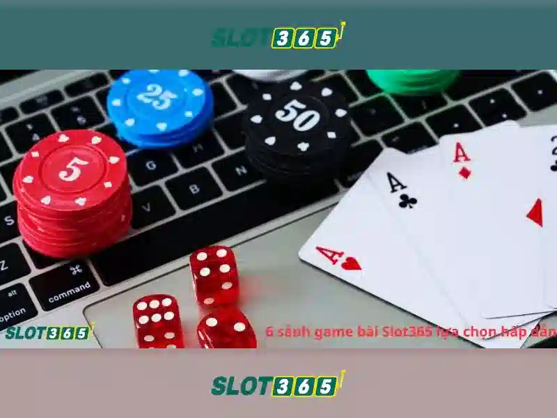 Hỗ trợ khách hàng và trách nhiệm