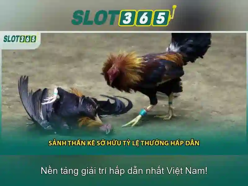 Slot365 và thế giới khe máy\n