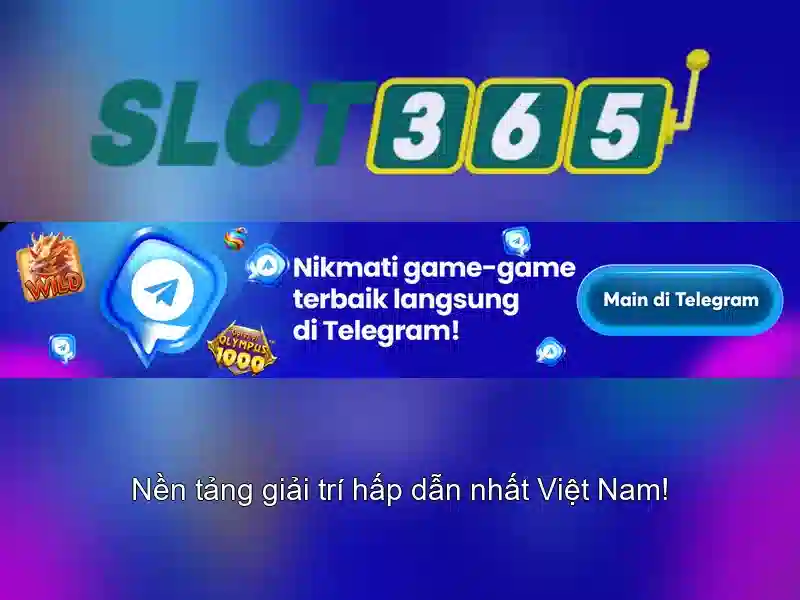 Giao diện và trải nghiệm người dùng