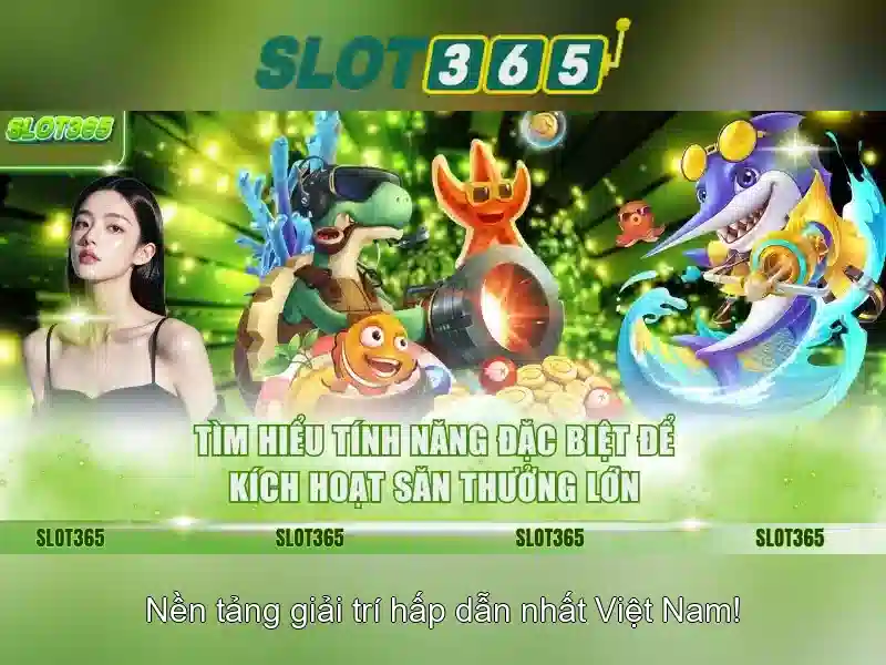 Giao diện người dùng và trải nghiệm