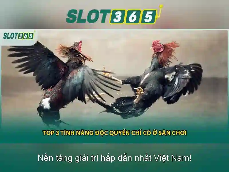 Giao diện người dùng và bảo mật\n\n