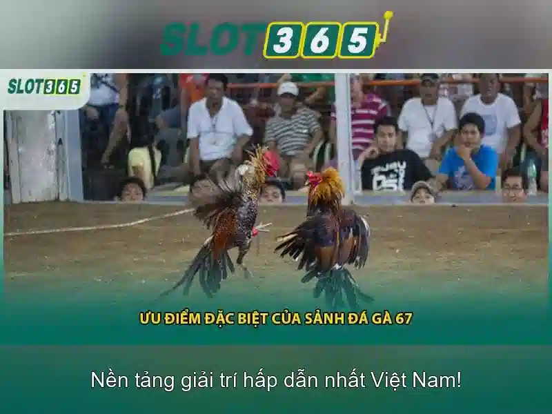 Cách bắt đầu chơi trên Slot365