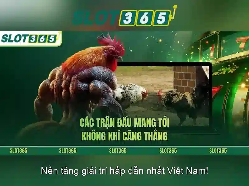 Giao diện và trải nghiệm người dùng