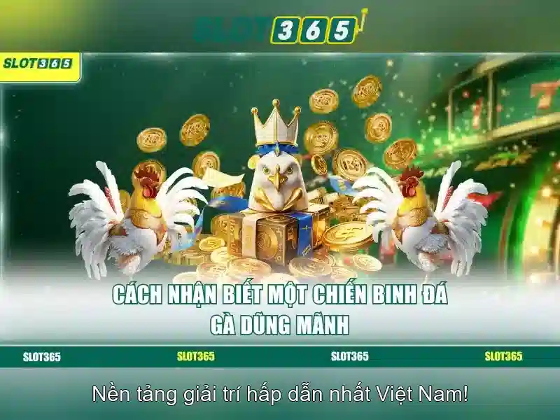 Slot365 – Trải nghiệm casino trực tuyến an toàn và tiện lợi