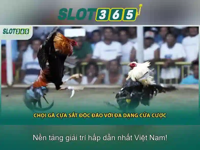 An toàn và bảo mật khi chơi slot365