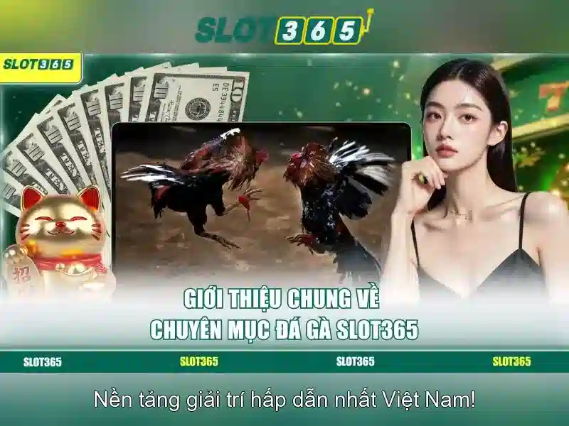 Slot365 là một nền tảng casino trực tuyến độc đáo