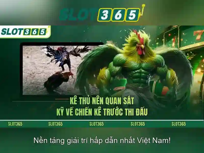 Cách chơi và trải nghiệm người dùng