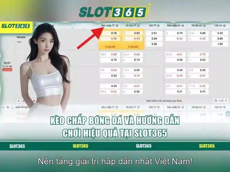 Slot365 – Đánh giá tổng quan về nền tảng khe online