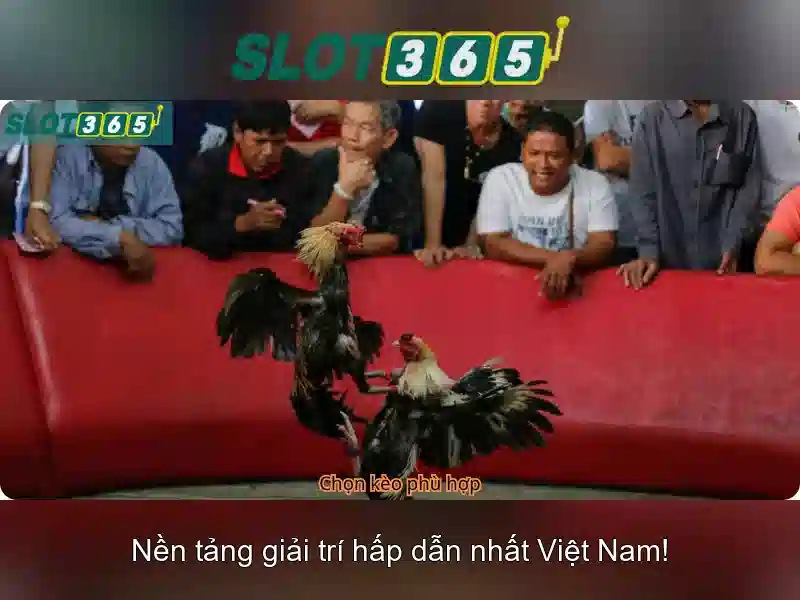 Slot365: Đánh giá tổng quan và hướng dẫn chơi an toàn
