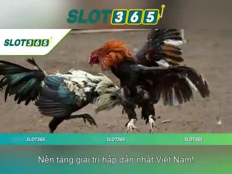 Tinh nang noi bat