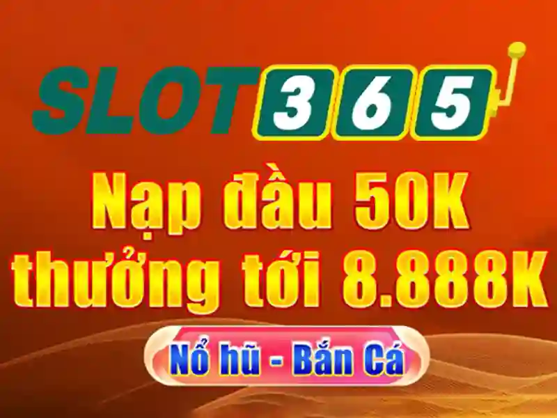 Trải nghiệm người dùng