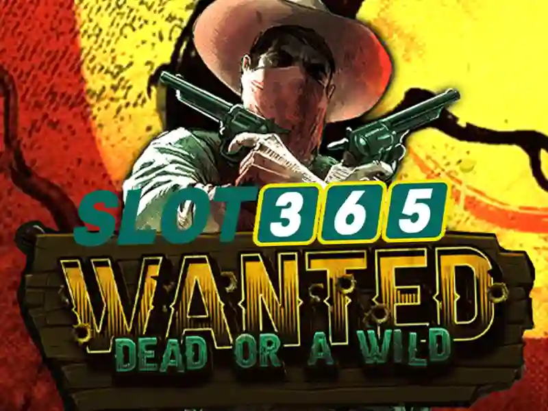 Các tính năng nổi bật của Slot365