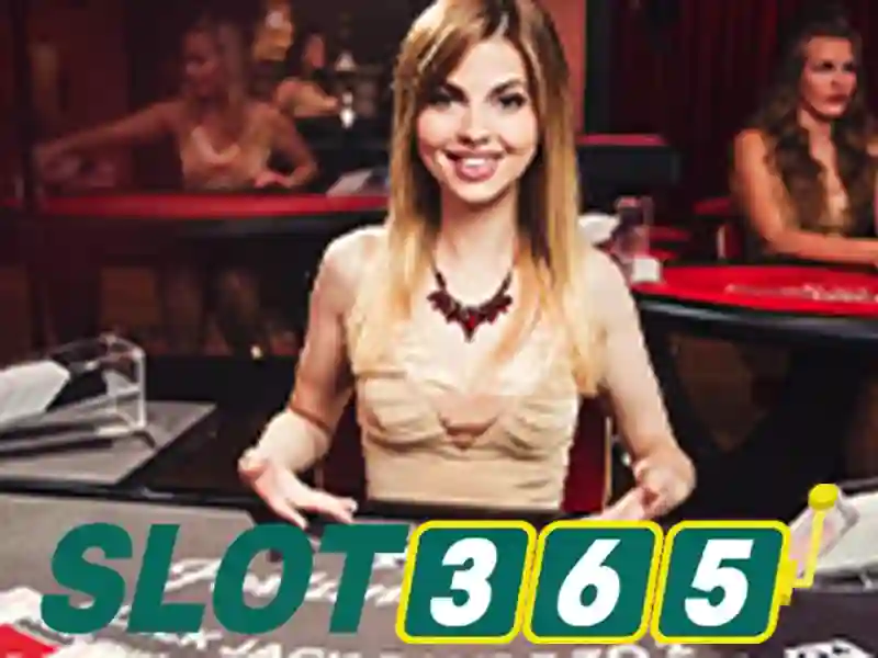 Slot365: khám phá nền tảng đánh bạc trực tuyến