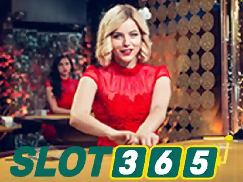 Slot365: Tổng quan về nền tảng trò chơi máy slot