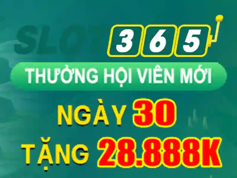 Phương hướng phát triển và tầm nhìn tương lai