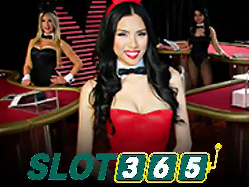slot365 tái – tổng quan, trải nghiệm và đánh giá