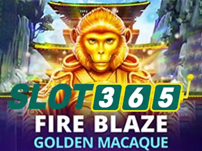 slot365 poker – Tổng quan và trải nghiệm thương hiệu